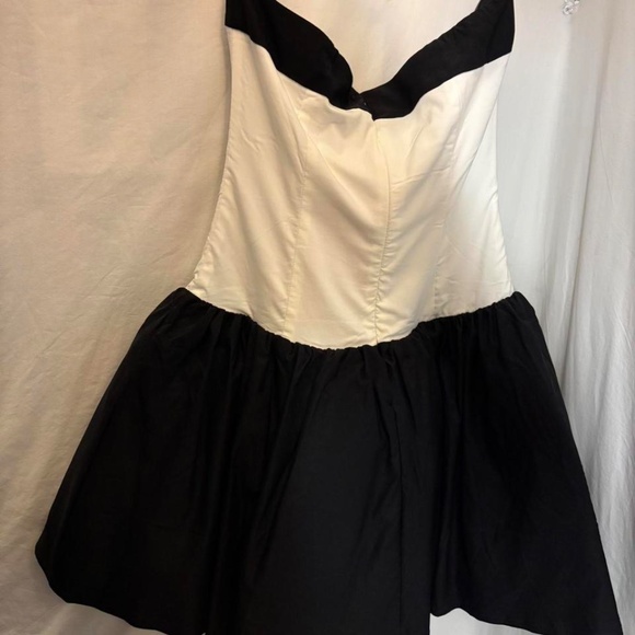 nwt, unworn - betsey johnson adoria rose mini dress - white black - size L - Picture 2 of 6